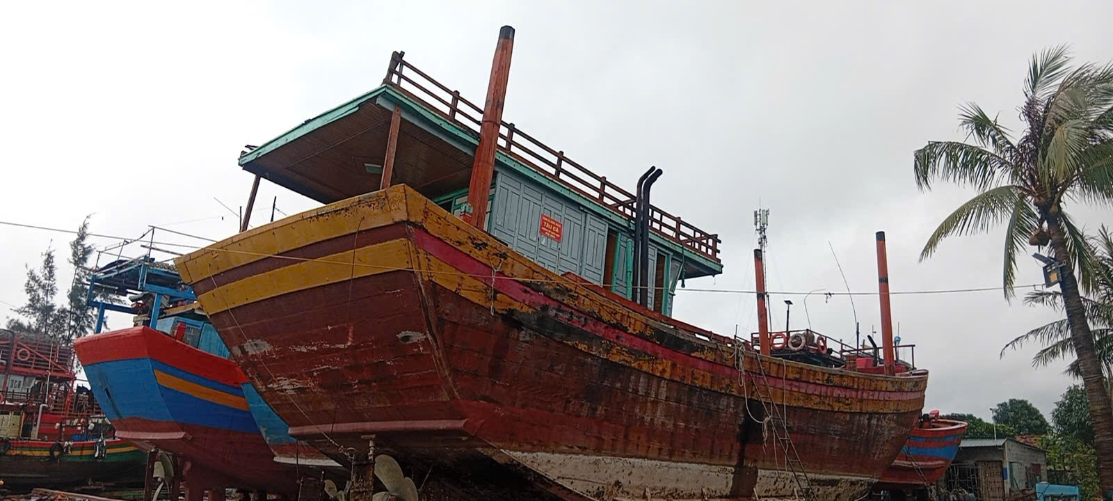 Test đấu giá 2