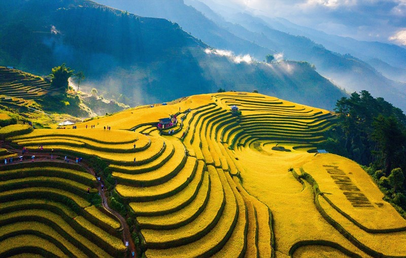 ruộng bậc thang