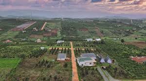 Quyền thuê quỹ đất nông nghiệp sử dụng vào mục đích công ích do UBND xã Bất Bạt quản lý cho cá nhân tại địa phương thuê đất để sản xuất nông nghiệp, nuôi trồng thủy sản